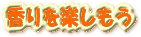 E-Conception.org �A���}�̕����@������y������