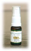 E-Conception.org �A���}�X�e�B�b�N