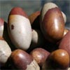 E-Conception.org �A���}�̕����@�V���@�E�����K��