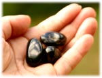 E-Conception.org �A���}�̕����@�I�j�L�X�@�^���u��