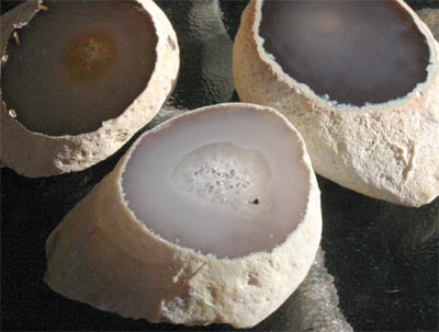 E-Conception.org �A���}�̕����@������@�A�Q�C�g