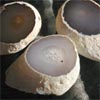 E-Conception.org �A���}�̕����@������A�Q�C�g