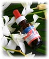 E-Conception.org FeelFree�t�����[�G�b�Z���X�ړI�ʃu�����h
