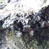E-Conception.org アロマの部屋　ケイブ