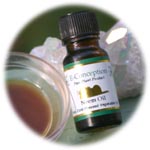 E-Conception.org �A���}�̕��� �j�[���I�C��
