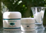 E-Conception.org �A���}�̕����@�V�A�o�^�[