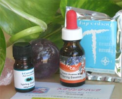 E-Conception.org �A���}�̕����@�X�v�����O�E�o�b�O