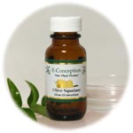 E-Conception.org �A���}�̕��� �I���[�u�E�X�N������