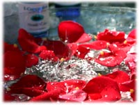 E-Conception.org �A���}�̕����@�A���}�E�H�[�^�[
