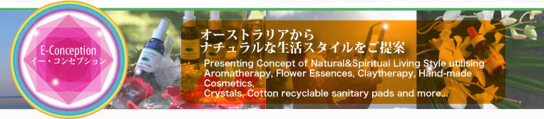 E-Conception.org �C�[�E�R���Z�v�V�����@�A���}�̕���