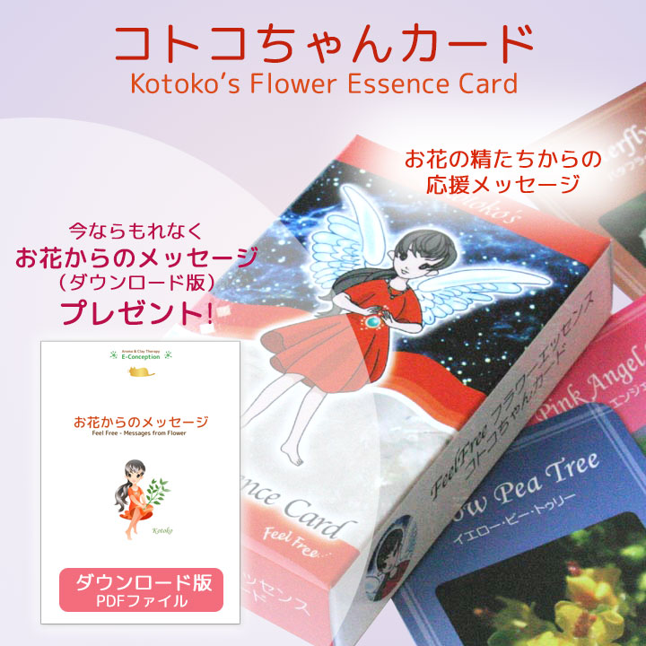 コトコちゃんカードお花からのメッセージ
