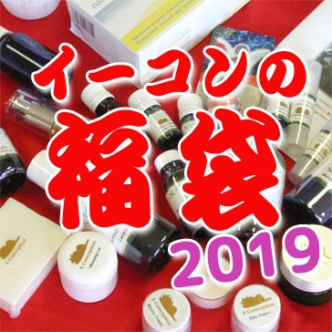 イーコンの福袋2019　予約販売開始！