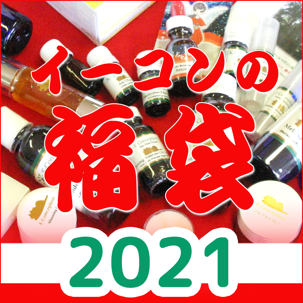 イーコンの福袋2021