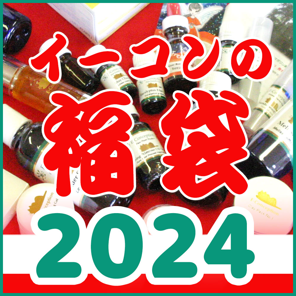 イーコンの福袋 2024