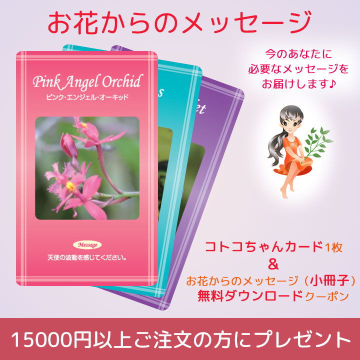 お花からのメッセージ