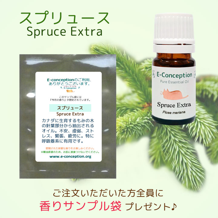 今月の香り スプリュース精油