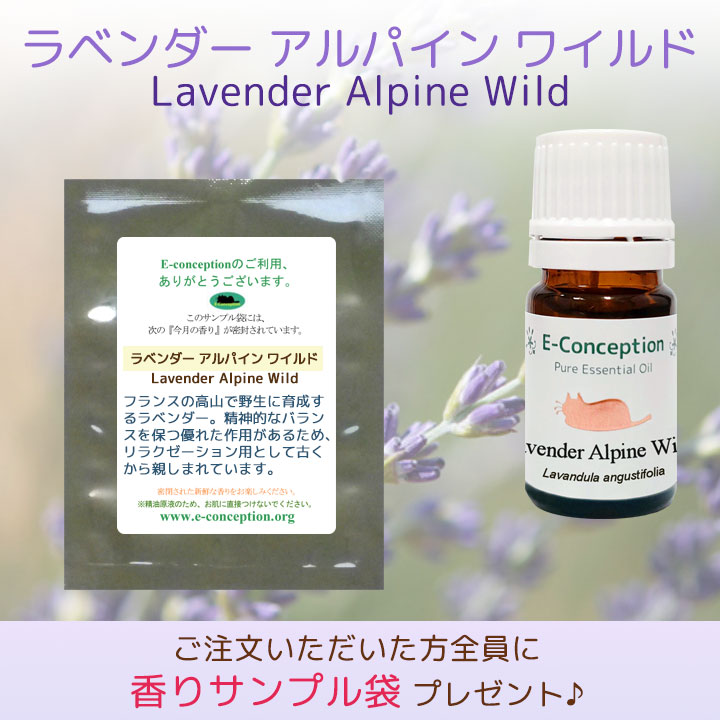 ラベンダー アルパイン ワイルド精油